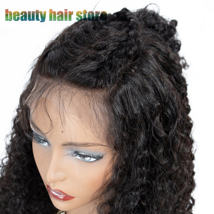 Brazilian Kinky Curly Lace Front Human Hair Wigs HEBDO STORE