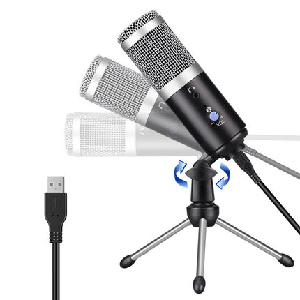 Computer microphone HEBDO STORE