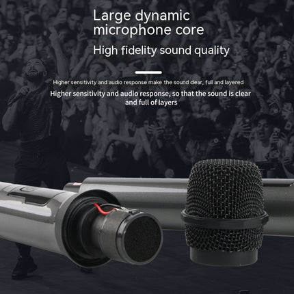 Household Wireless One-drag Two Moving Coil Microphone HEBDO STORE