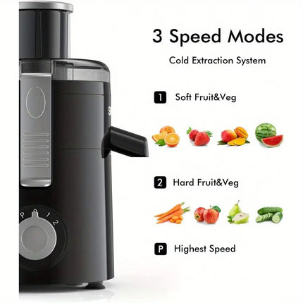 Powerful Compact Juicer Machine HEBDO