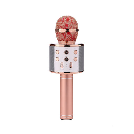 Microphone sans fil Portable Bluetooth Mini Accueil Ktv Pour Jouer de La Musique Chant Haut-Parleur Lecteur HEBDO STORE