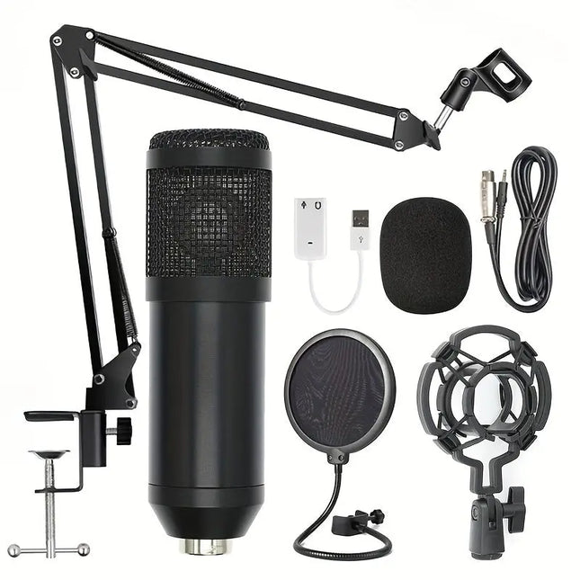 [USB Powered Professional Microphone] Professional Studio HEBDO