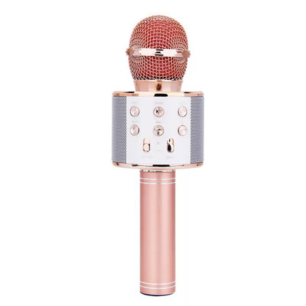 Microphone sans fil Portable Bluetooth Mini Accueil Ktv Pour Jouer de La Musique Chant Haut-Parleur Lecteur HEBDO STORE