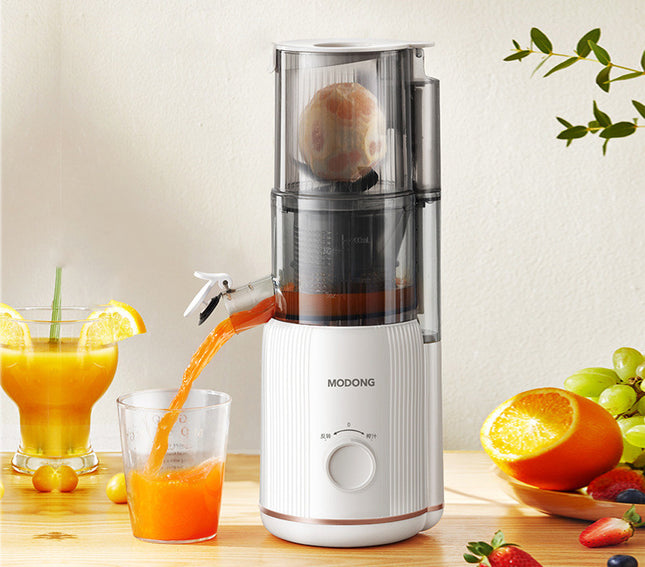 Juicer Juice Residue Separation Household Multi-function HEBDO STORE