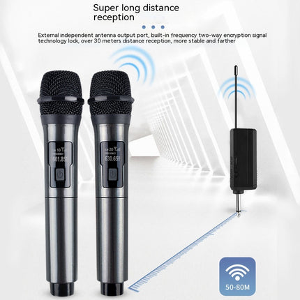 Household Wireless One-drag Two Moving Coil Microphone HEBDO STORE