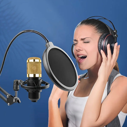 [USB Powered Professional Microphone] Professional Studio HEBDO