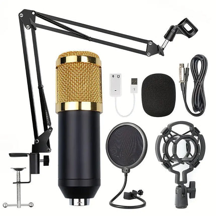 [USB Powered Professional Microphone] Professional Studio HEBDO