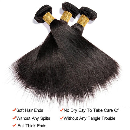 Wholesale Hair Raw Indian Straight Human Hair Bundles Natural Black For Women Bone Straight Hair Extensions 2/3 Bundles Deal HEBDO STORE