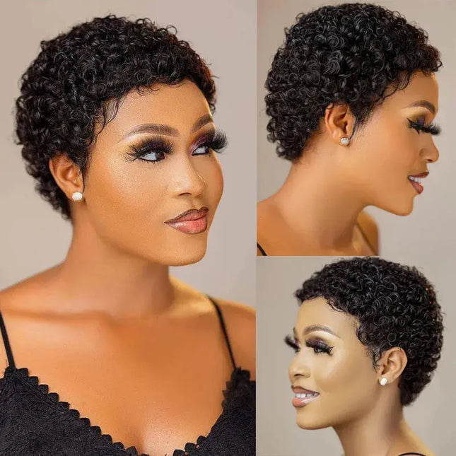 Short Kinky Curly Wigs Human Hair Pixie Cut Brazilian Human Hair For Women Natural Black Glueless Curly Human Hair Wigs Hebdo Store