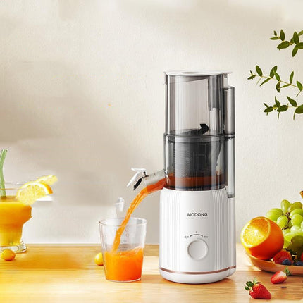 Juicer Juice Residue Separation Household Multi-function HEBDO STORE