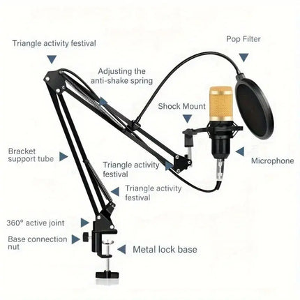 [USB Powered Professional Microphone] Professional Studio HEBDO