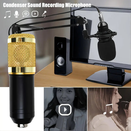 [USB Powered Professional Microphone] Professional Studio HEBDO